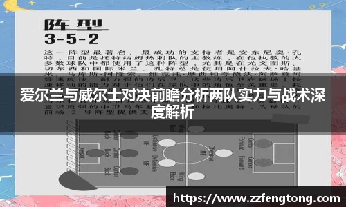 球速体育平台