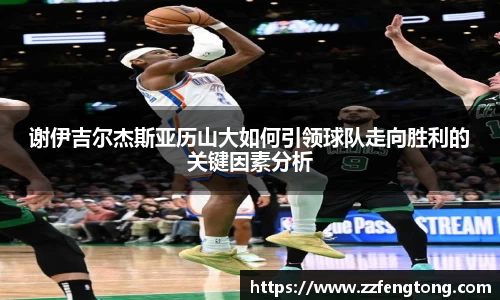 球速体育